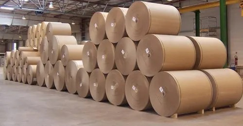 Kraft Paper Rolls
